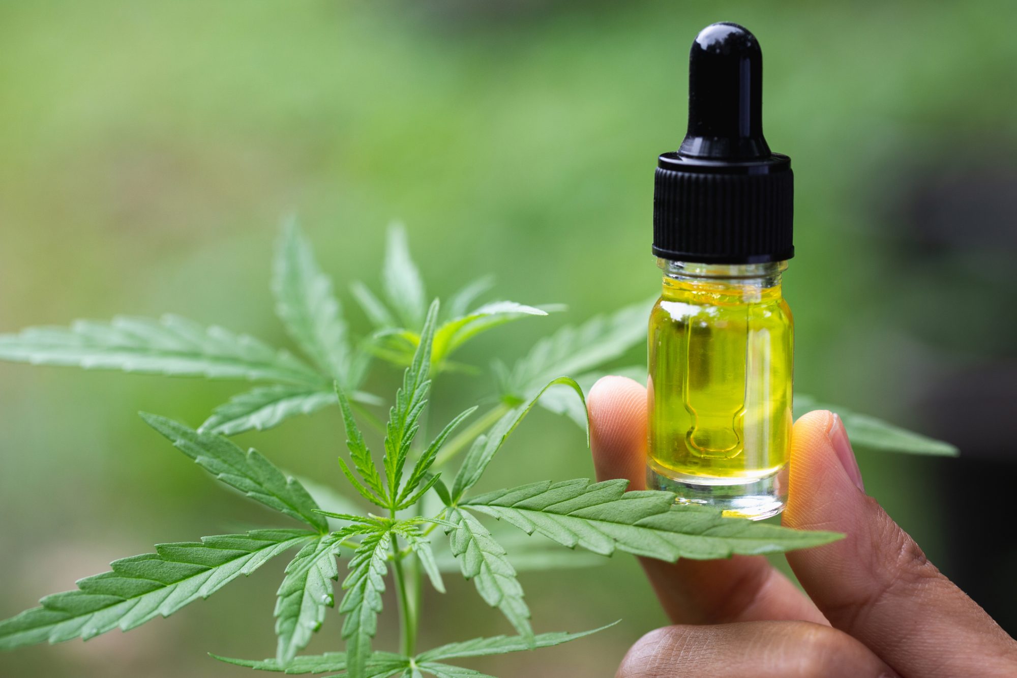 Can You Use Oral CBD Oil Topically